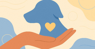 Que raça de cão escolher para uma pessoa idosa