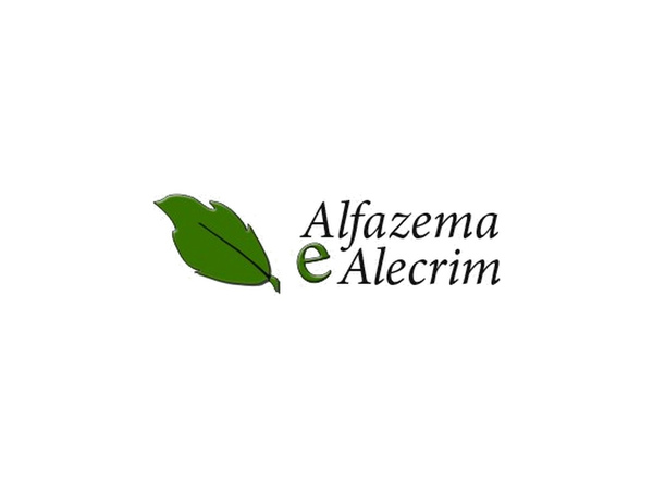Alfazema E Alecrim