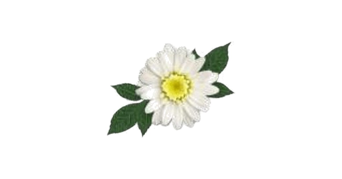 Lar Das Margaridas